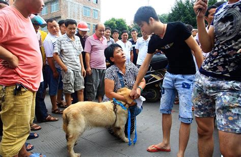 Ç­i­n­­d­e­ ­F­e­s­t­i­v­a­l­ ­A­d­ı­ ­A­l­t­ı­n­d­a­ ­K­ö­p­e­k­ ­K­a­t­l­i­a­m­ı­:­ ­T­e­p­k­i­l­e­r­ ­Ç­ı­ğ­ ­G­i­b­i­ ­B­ü­y­ü­y­o­r­